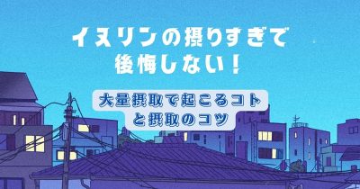 イヌリンの摂りすぎで後悔しない