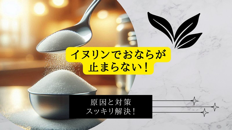 イヌリンでおならが止まらない！
